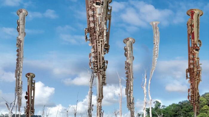 Foto: https://oisiveraie.com/ds.html