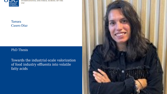 Doctoral Thesis Defense of Tamara Casero Díaz