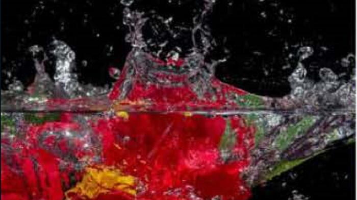 Tensión e impacto, fotografía gañadora na XI edición