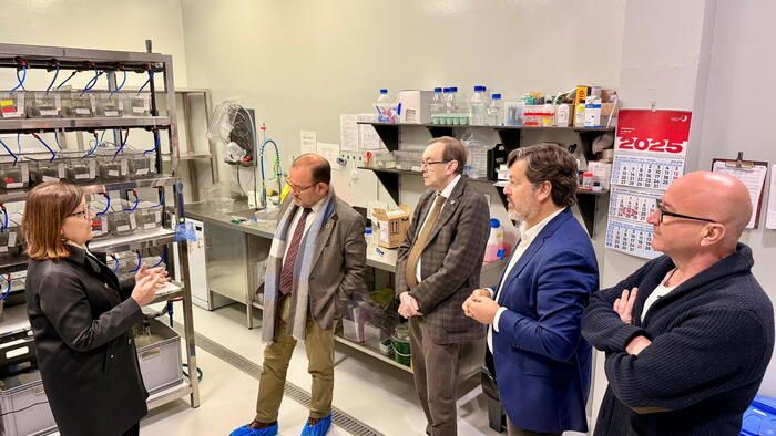 De esquerda a dereita, Laura Sánchez Piñón, Antonio López Díaz, José Alberto Díez de Castro, Javier Ferreira e Antonio González Cantalapiedra. 