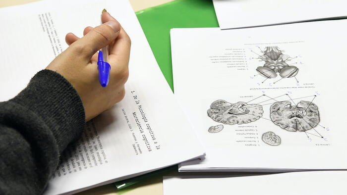 Imaxe representativa