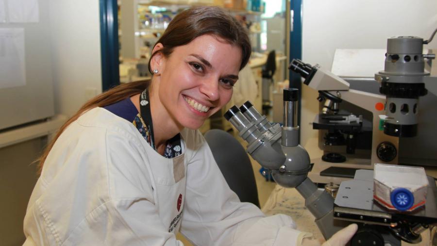 BioReDes aborda o influxo dos péptidos de gomesina na loita contra o melanoma