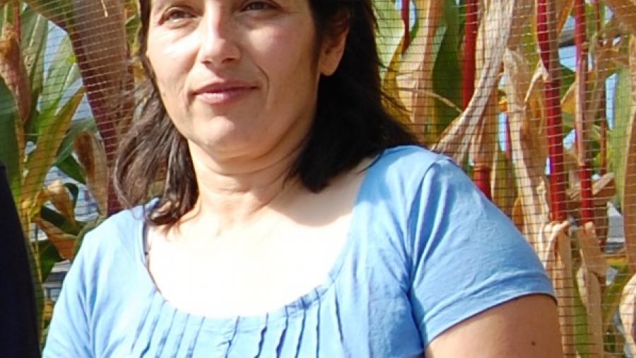 El Campus Terra de la USC lidera un programa para activar prácticas agrarias y forestales sostenibles adaptadas al clima en Europa