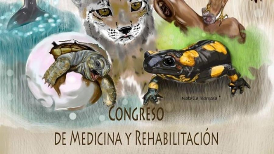 El I Congreso de Medicina y Rehabilitación de Fauna Salvaje cita este fin de semana a más de un centenar de personas en el Campus Terra