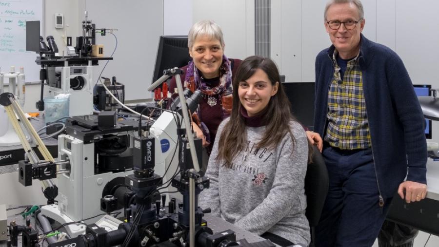 Científicos del Campus Terra identifican la concentración crítica para la formación de agregados tóxicos de la enfermedad de Alzheimer