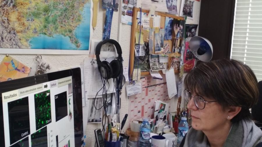 El Campus Terra patenta compuestos de usos farmacológicos y terapéuticos que podrían ser adecuados en la lucha contra el Alzhéimer