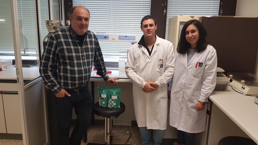 O Campus Terra avanza na detección precoz da mamite bovina