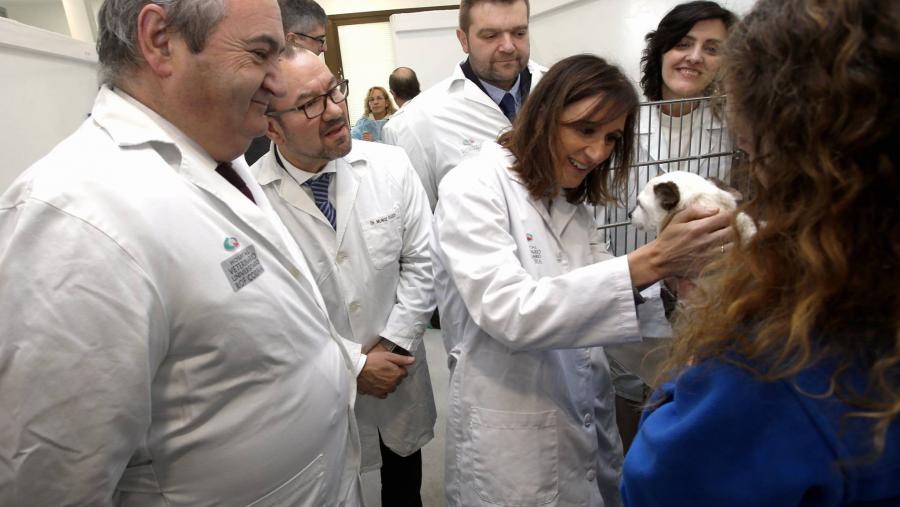 A conselleira de Educación, Universidade e Formación Profesional visitou as instalacións do Cebiovet e do Hospital Veterinario Universitario Rof Codina