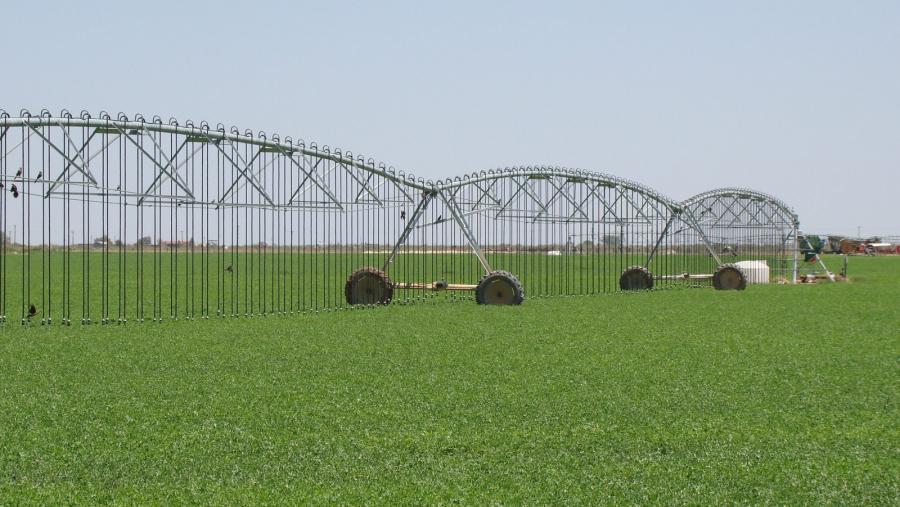 El Campus Terra de la USC inaugura este miércoles el III Simposio Nacional y I Ibérico de Ingeniería Hortícola
