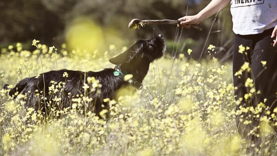 Mondoñedo acoge un curso de verano de la USC sobre Educación y Naturaleza