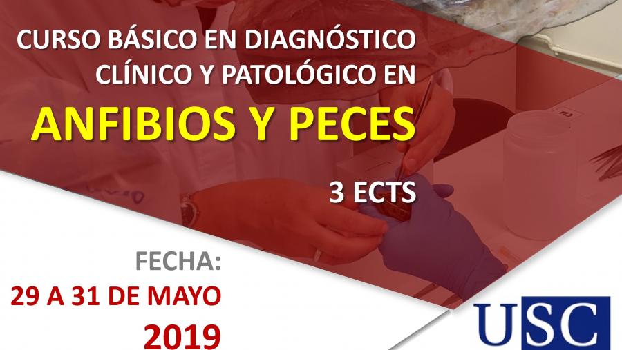 Gapavet abre o luns 15 de abril a inscrición para o ‘Curso básico en diagnóstico clínico e patolóxico en anfibios e peixes’