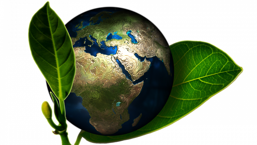 El Servicio de Relaciones Exteriores de la USC presenta el programa Erasmus+ en el Campus Terra