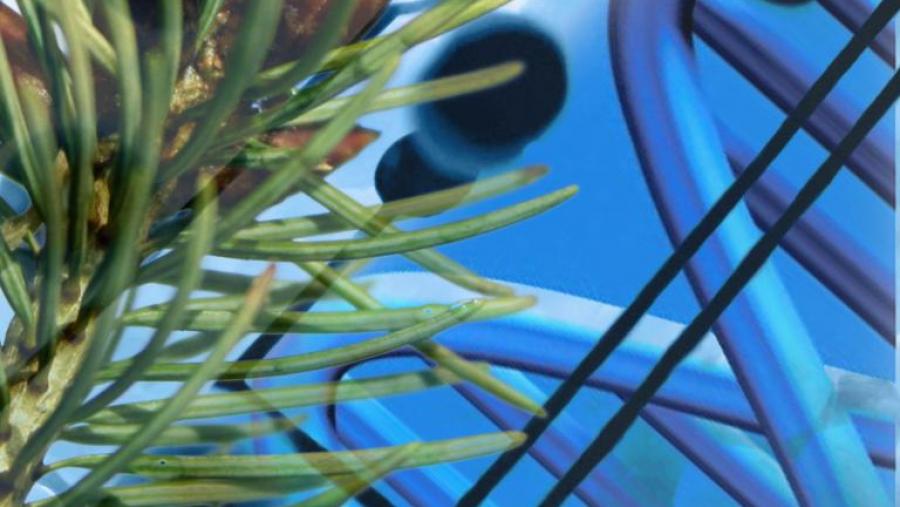 El Campus Terra de la USC oferta en el curso 2018/2019 el Máster Universitario en Genómica y Genética