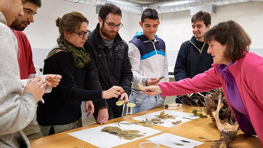 El Ministerio de Agricultura convoca becas de formación práctica para ingenieros agrónomos o titulados con Máster de ingeniería agronómica