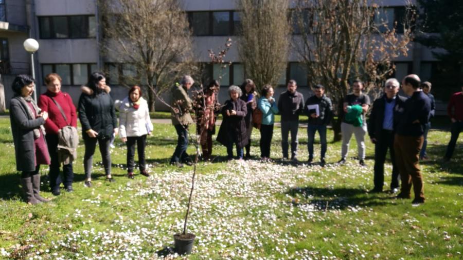 A EPS de Enxeñaría reivindica a figura dos e das enxeñeiras forestais no Día Internacional dos Bosques