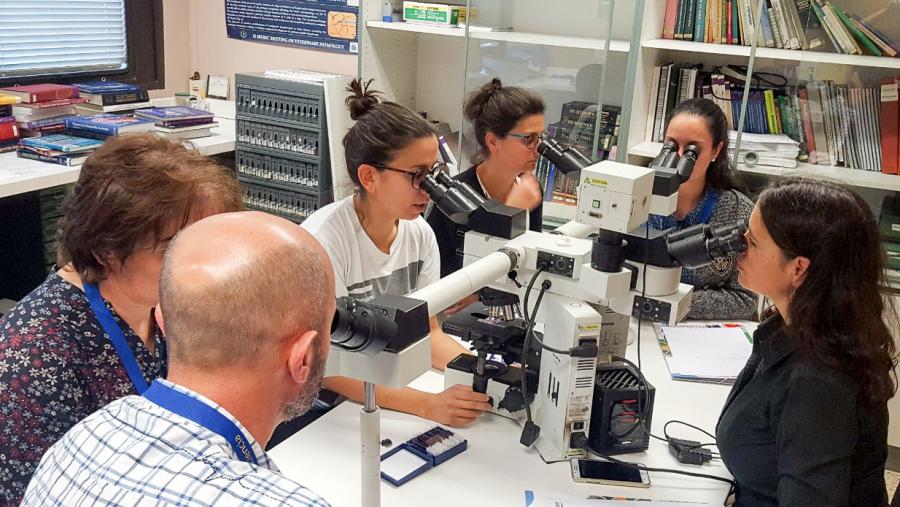 A primeira das sesións das ‘V Xornadas XuvenCiencia para Profesorado’ bota a andar este venres 19 de outubro baixo o lema ‘Fago, logo aprendo’