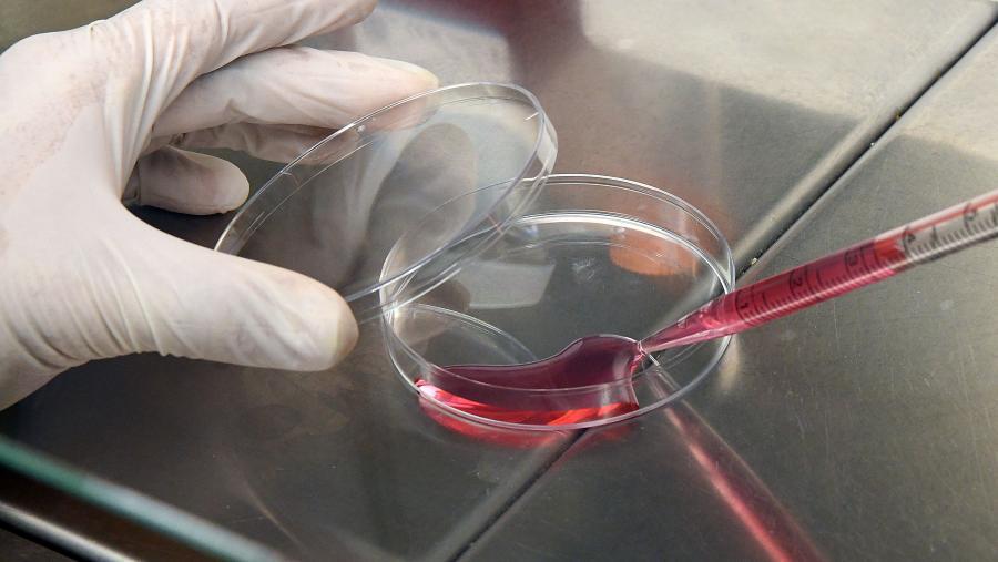 Química en galego, o acompañamento perfecto para este Nadal