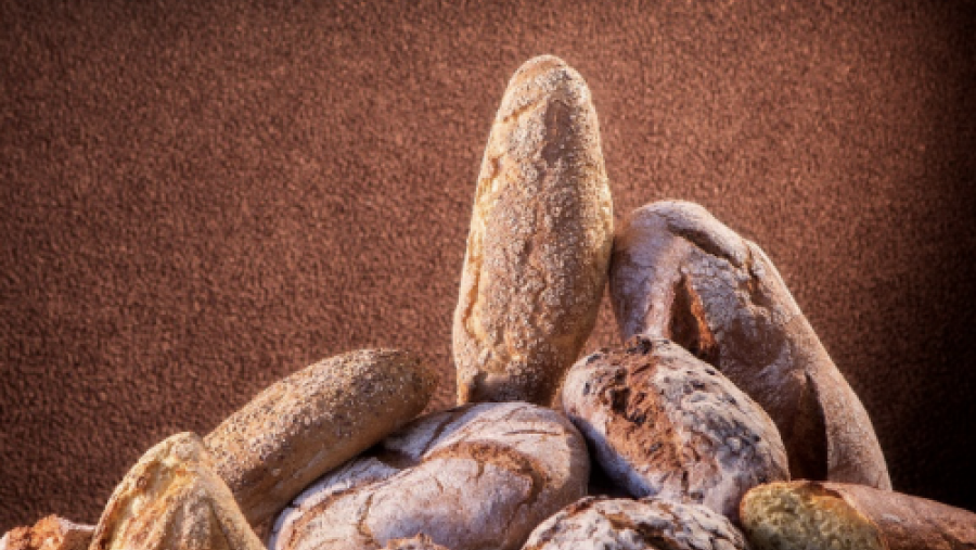 La Cátedra del Pan y del Cereal de la USC organiza el primer panel profesional de cata de pan esta semana en el Campus Terra