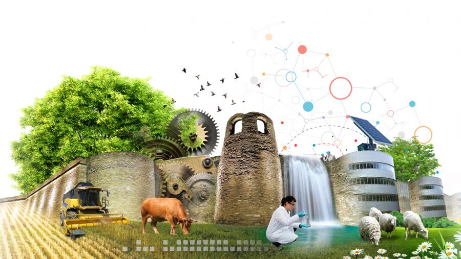 El Campus Terra de la USC avanza hacia la excelencia