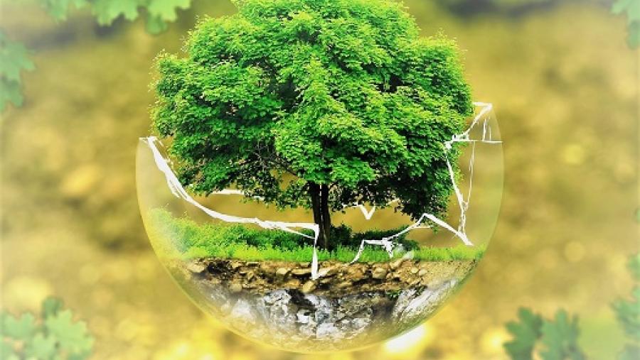 Últimos días para inscribirse en las jornadas sobre Genómica y gestión de la biodiversidad que organiza el Campus Terra de la USC