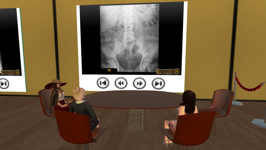 O certame desenvólvese na plataforma virtual Second Life