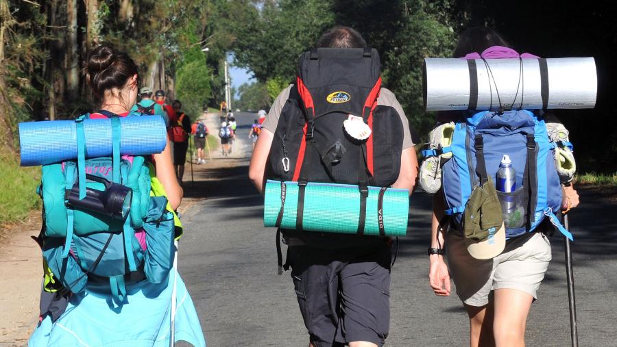 A Cátedra Institucional do Camiño de Santiago e das Peregrinacións da USC foi creada no Consello de Goberno de 29 de xullo de 2016 grazas a sucesivos convenios de colaboración entre a USC, a Axencia de Turismo de Galicia da Xunta de Galicia e a Catedral de Santiago. FOTO: Santi Alvite