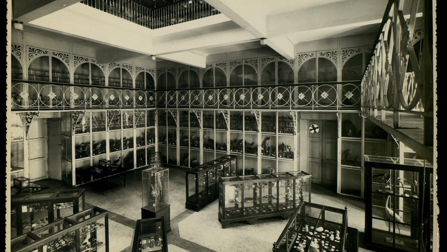 Imaxe doada polo AHUS á mostra itinerante ‘Galicia, de NÓS a nós’