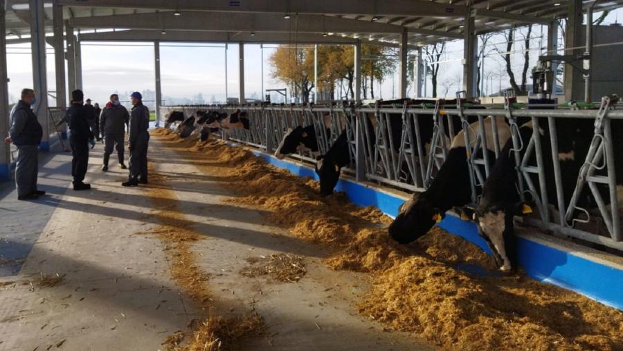 Imaxe da nave de gando da Granxa do Campus Terra