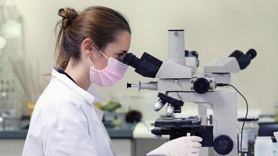 Irene Ortiz Leal, nun laboratorio do grupo de Morfoloxía Animal de Veterinaria