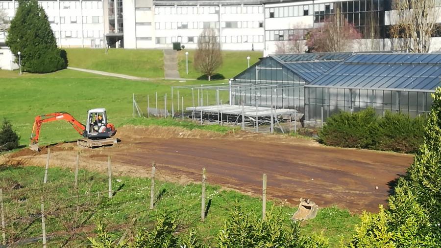 Terreos do Campus de Lugo habilitados para hortos ecolóxicos