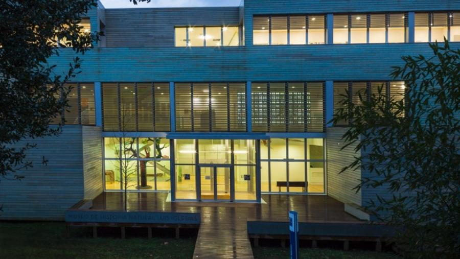 Imaxe nocturna do Museo de Historia Natural