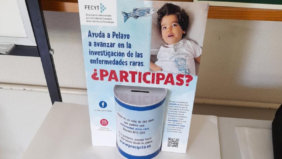 Huchas del proyecto de I+D+i inspirado en Pelayo repartidas en establecimientos de Lugo