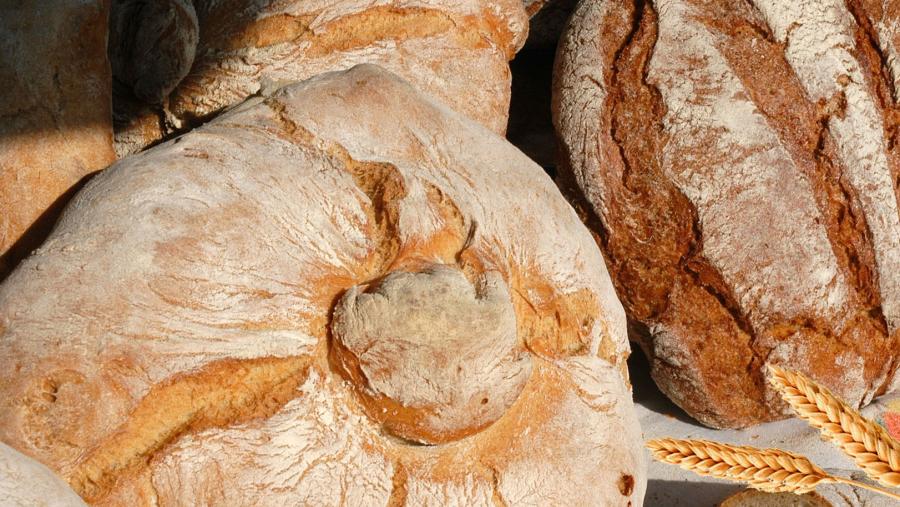 Pezas de pan e espigas de cereal. Foto: Santi Alvite