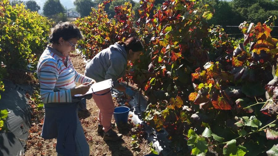 Investigadoras en finca de Portomarín
