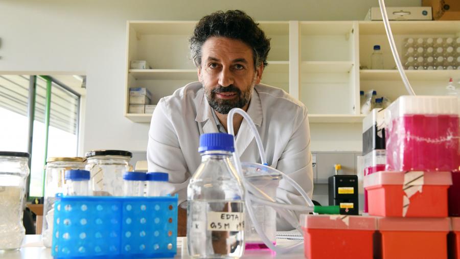 Ezequiel Álvarez é o responsable do proxecto. FOTO: Santi Alvite