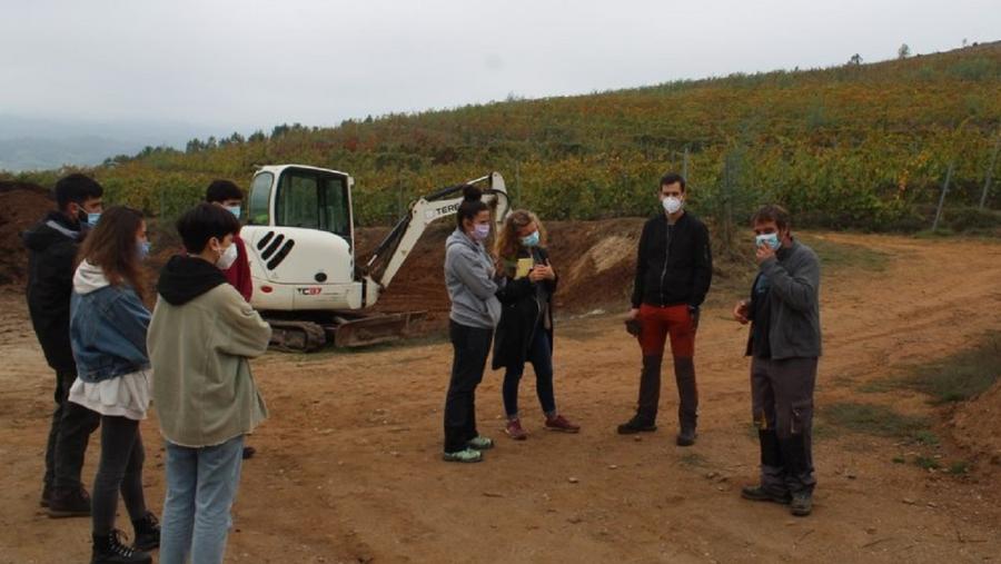 Visita de alumnado da EPS de Enxeñaría a explotacións vitivinícolas do Ribeiro