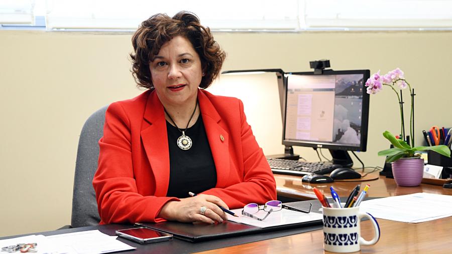 María José Sampedro Vizcaya é profesora da área de Psicoloxía Básica, do departamento de Psicoloxía Social, Básica e Metodoloxía. FOTO: Santi Alvite
