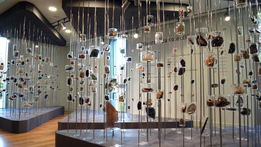 O Museo de Historia Natural da USC constitúe un dos conxuntos de patrimonio histórico-científico máis importantes de Galicia. Foto: Lindeiros