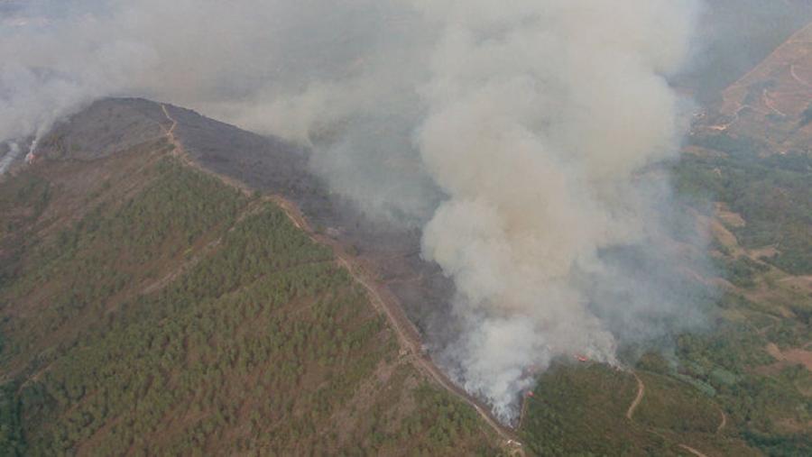 Montes do concello de Quiroga asolados polas lapas