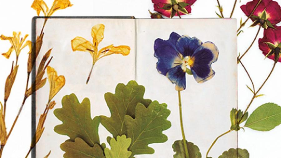 Extracto do cartel da mostra