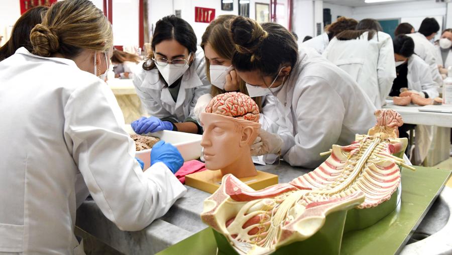 O evento diríxese a estudantes de Medicina e Enfermaría. FOTO: Santi Alvite