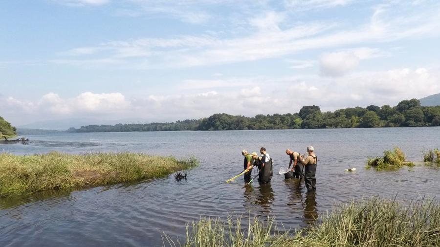 O proxecto Migra_Miño-Minho pretende mellorar as condicións do hábitat fluvial 