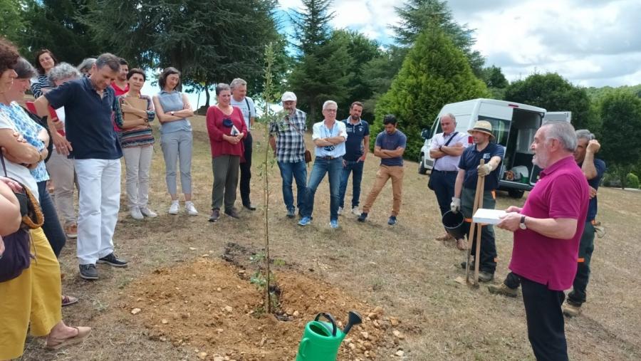 Antonio Rigueiro e profesorado da EPS de Enxeñaría, arredor da sobreira plantada na Valgada do Campus