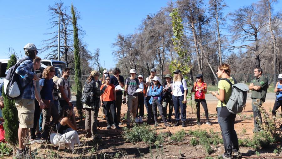 Estudantes e docentes desprazados ata Grecia ao abeiro do proxecto Facing Fire. Foto: Iria Souto