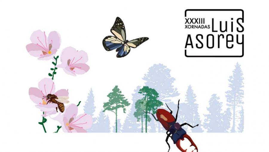 Cartaz das XXXIII Xorandas Luis Asorey