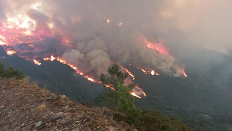 Imaxe de lapas do incendio rexistrado no Courel en xullo