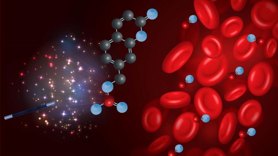 Detalle da imaxe creada por Maria João Matos para a portada do número da ChemMedChem, a revista oficial da Federación Europea de Química Medicinal, que recolle o estudo.
