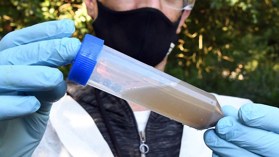 A investigación doutoral viuse reflectida en varias publicacións de revistas científicas internacionais. FOTO: Santi Alvite