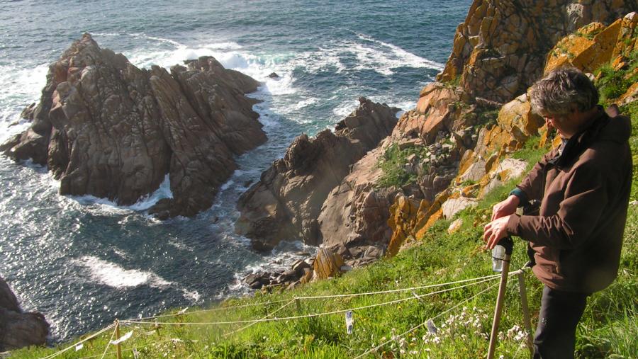 Integrantes do equipo nunhas das localizacións de recollida de mostras nas Illas Cíes. Foto: Esther Sierra Abraín