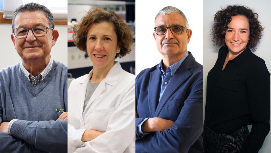 De esquerda a dereita, José Rivas, Sandra Hervás, Xosé Bustelo e Mariona Baliu-Piqué